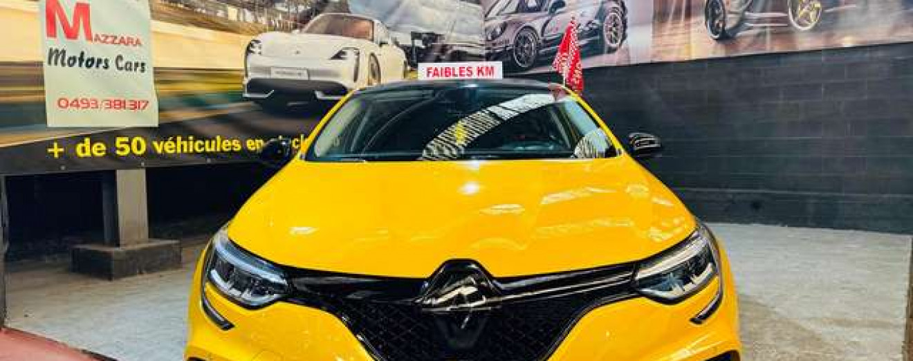 Renault Megane 1.8 TCe R.S. 300 Ultimate Recaro Carbon BOSE