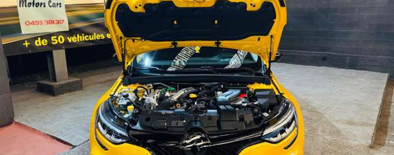 Renault Megane 1.8 TCe R.S. 300 Ultimate Recaro Carbon BOSE