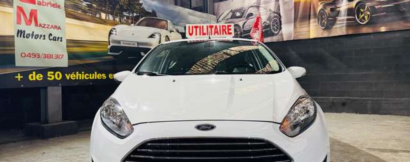 Ford Fiesta Fiesta 1.5 TDCi Utilitaire Airco