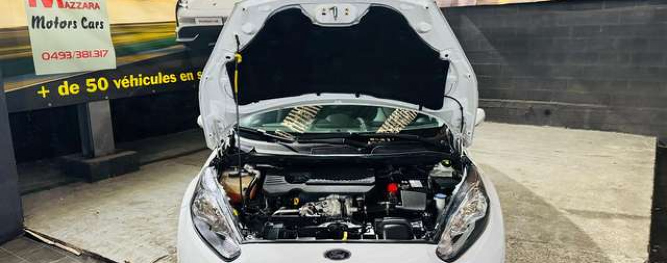 Ford Fiesta Fiesta 1.5 TDCi Utilitaire Airco