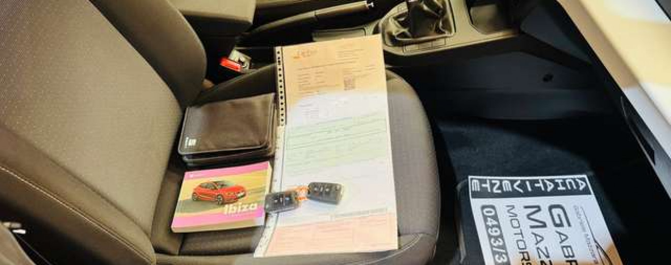 SEAT Ibiza 1.0 TSI Move! Full Link garantie 12 mois