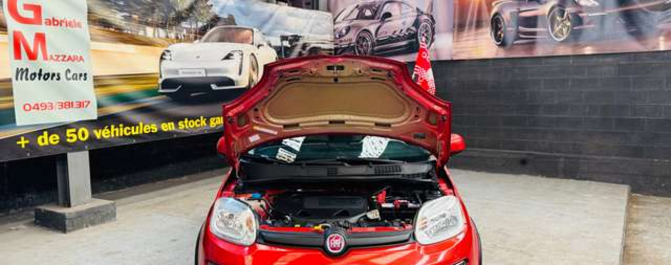 Fiat Panda Panda 4x4 0.9 T TwinAir Climbing