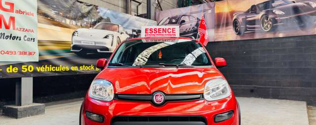 Fiat Panda Panda 4x4 0.9 T TwinAir Climbing