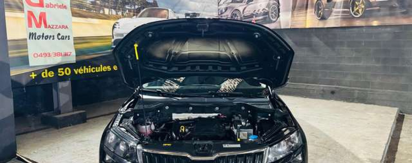 Skoda Karoq Karoq 1.0 TSI Style DSG