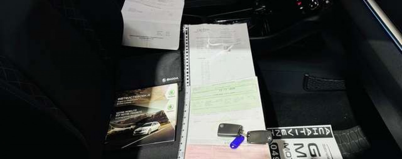 Skoda Karoq Karoq 1.0 TSI Style DSG