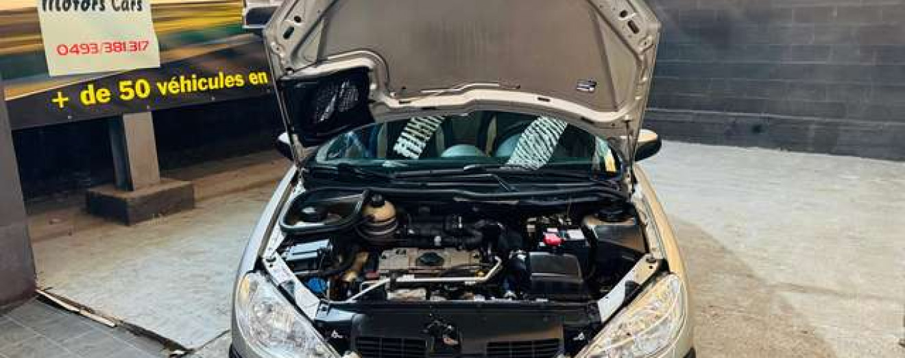 Peugeot 206 1.1i Carnet Complet